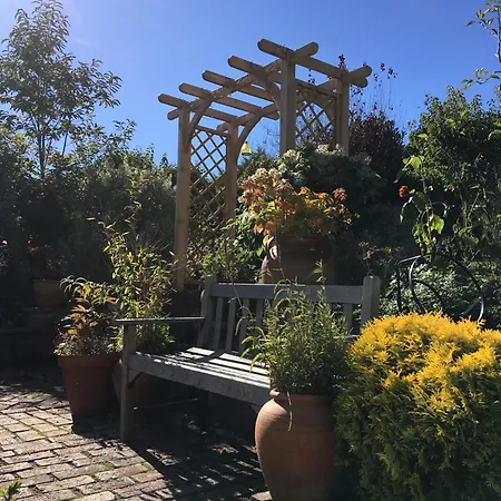 Anne'S House-2